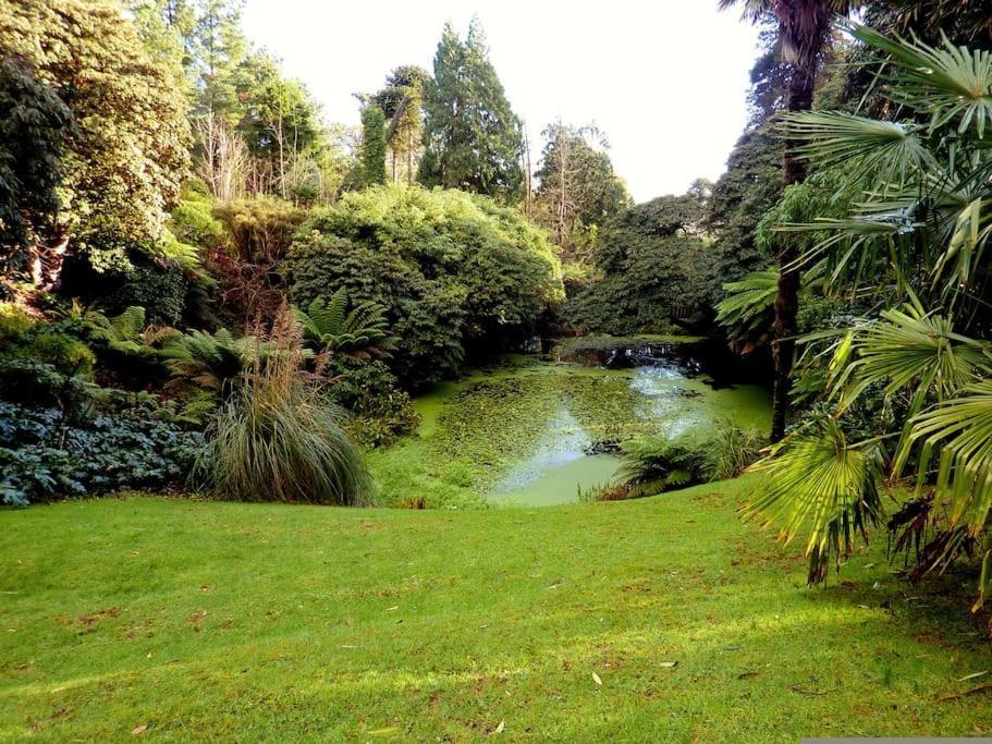 White Eden - Explore Cornwall From A Comfy Central Appartment St Austell Extérieur photo